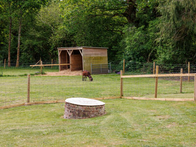 Picture 19